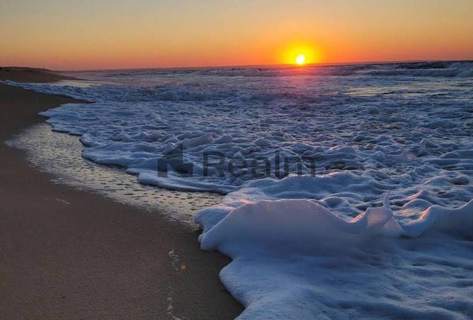 66430018 - Property Image 2