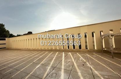 دوبلكس - 4 غرف نوم - 3 حمامات للايجار في شارع 210 - دجلة - حي المعادي - القاهرة