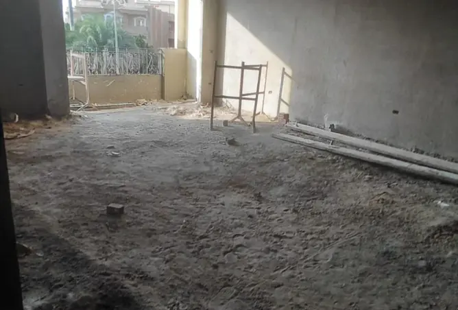 116496471 - Property Image 2