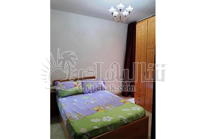 8705606 - صورة العقار 3