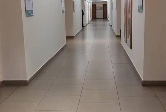 53722567 - صورة العقار 2