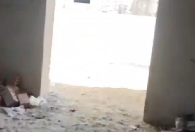 93825757 - صورة العقار 3