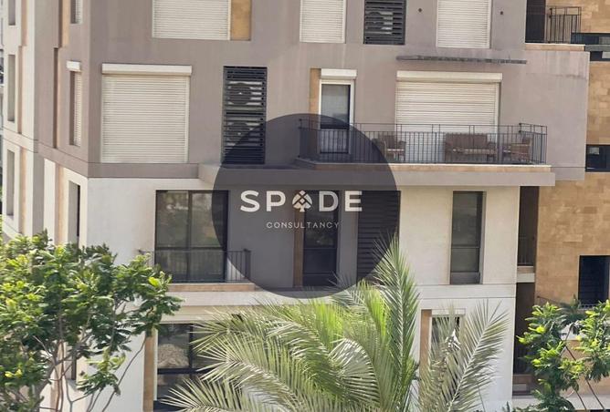 66436651 - Property Image 2