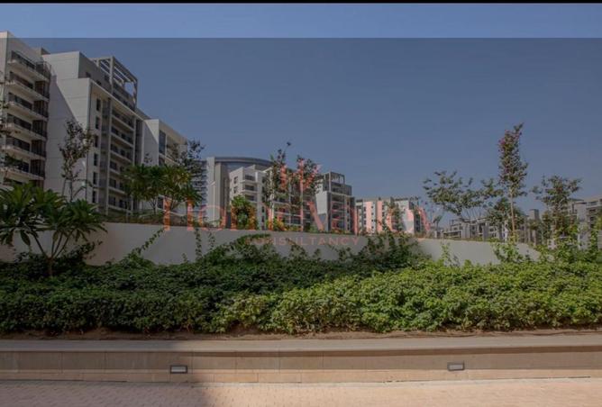 99407794 - Property Image 3