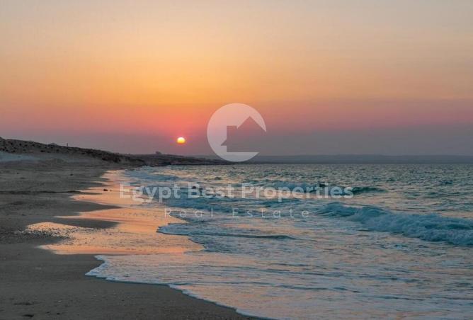 64382196 - صورة العقار 3