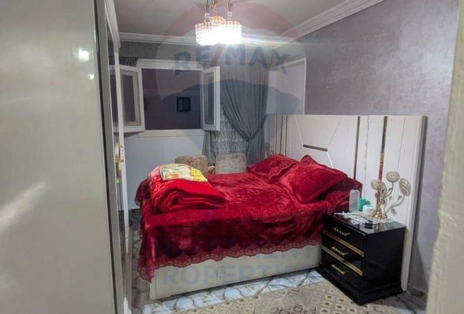 8635058 - Property Image 3