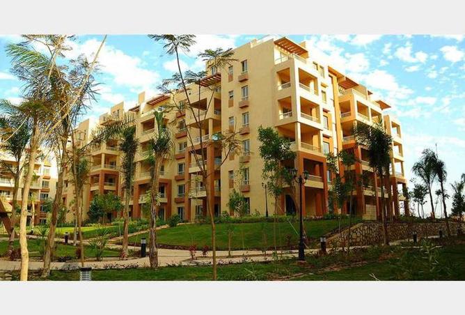 55509664 - صورة العقار 2