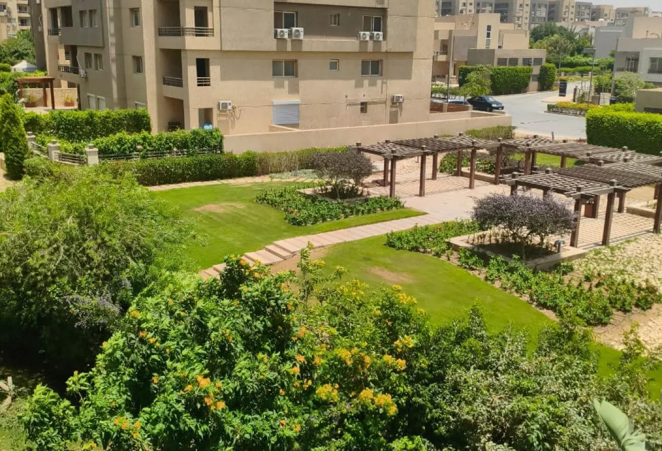 81303237 - الصورة الرئيسية للعقار