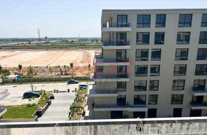 Apartment - 4 Bedrooms - 4 Bathrooms for sale in Palm Hills - Alexandria Compounds - Alexandria