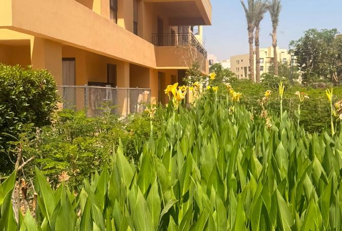 106016868 - الصورة الرئيسية للعقار