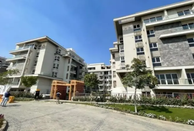 116496321 - Property Image 2