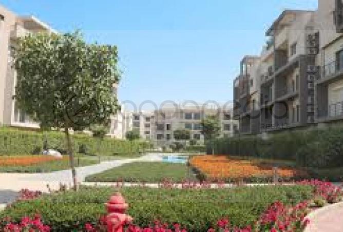 53978646 - Property Image 3