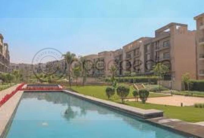 53978646 - Property Image 2