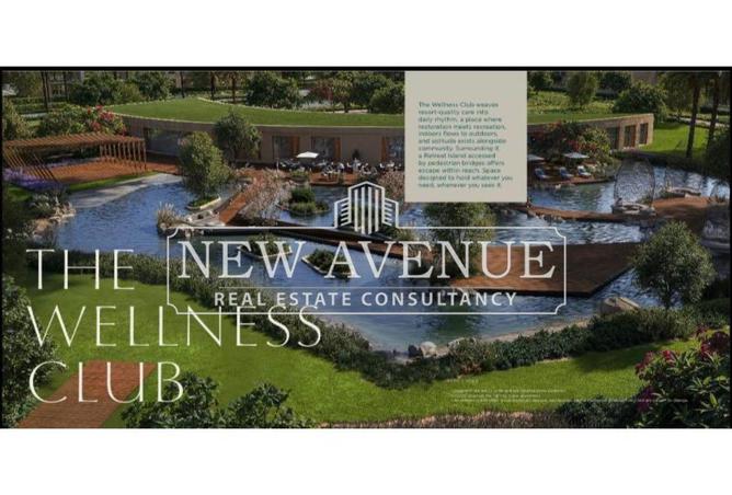 72436851 - Property Image 3