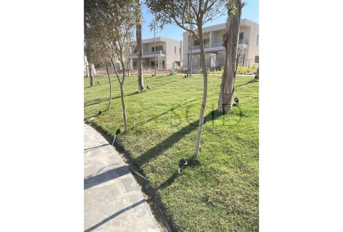 61449458 - صورة العقار 2