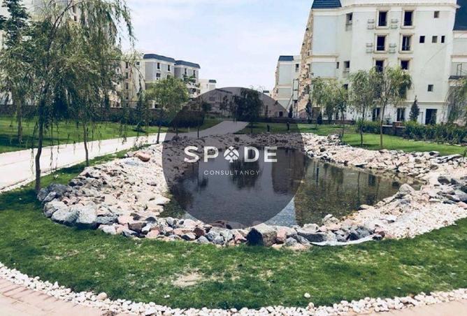 55746240 - Property Image 3