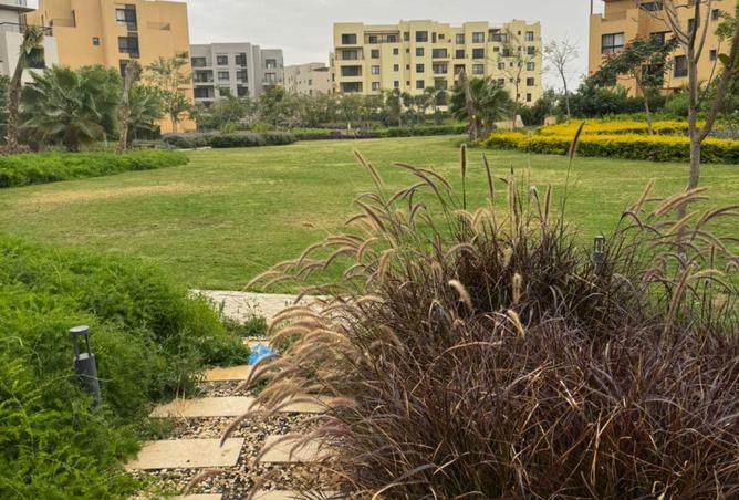 64907481 - Property Image 3