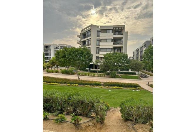 56009675 - صورة العقار 3