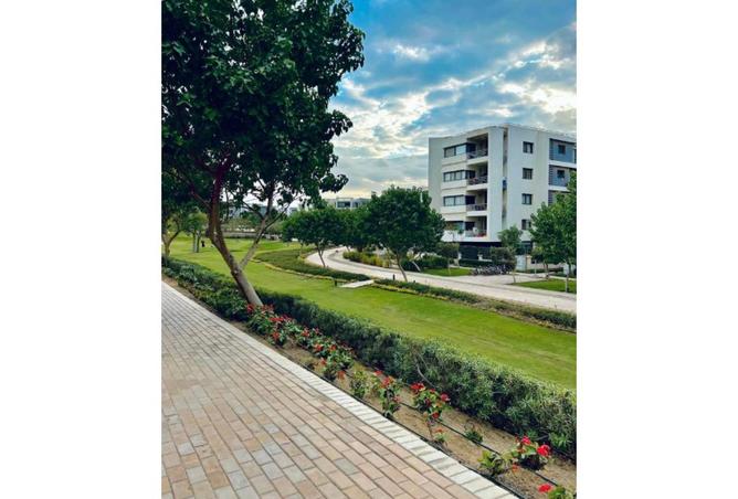 56009675 - الصورة الرئيسية للعقار