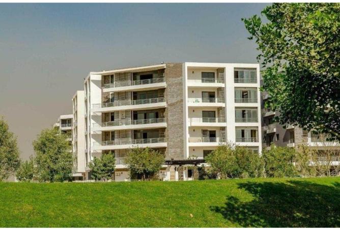 56009675 - صورة العقار 2