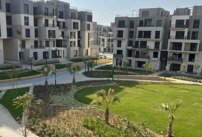 58246219 - Property Image 3