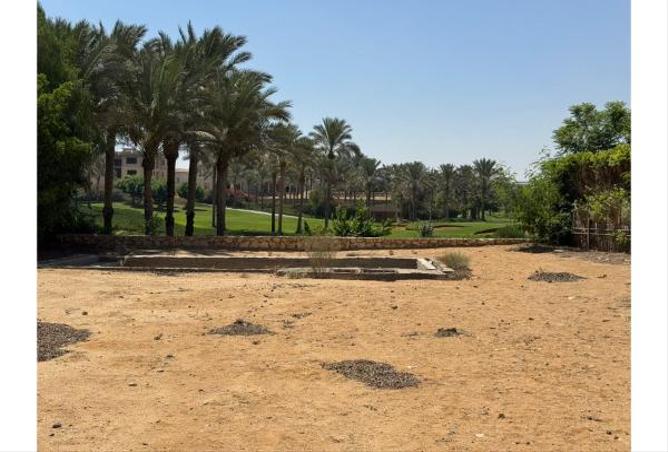 67729734 - صورة العقار 2