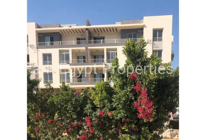 66699448 - صورة العقار 3