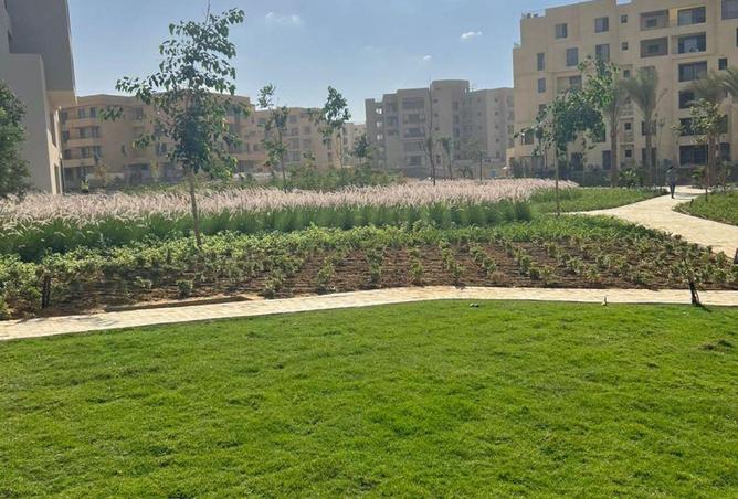 66685014 - الصورة الرئيسية للعقار