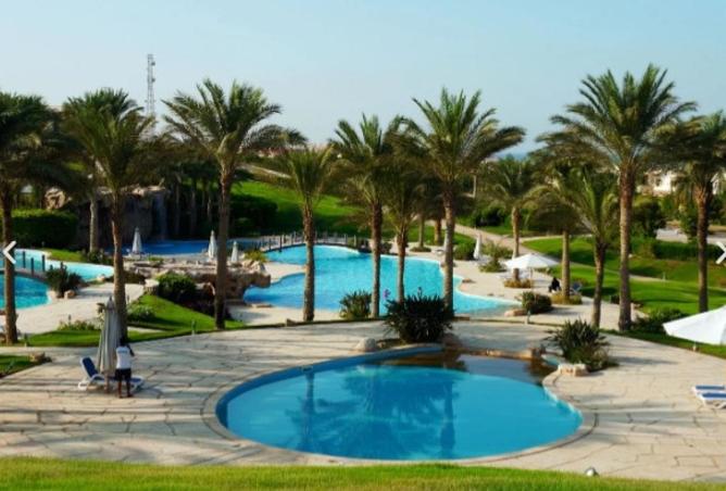 51936753 - صورة العقار 2