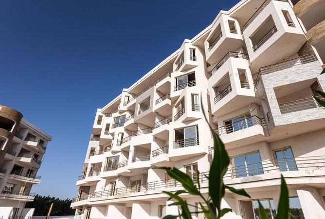 68003640 - صورة العقار 3