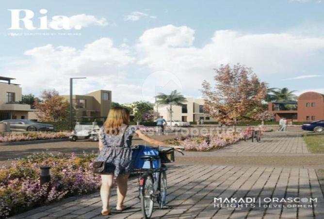 8717410 - Property Image 3