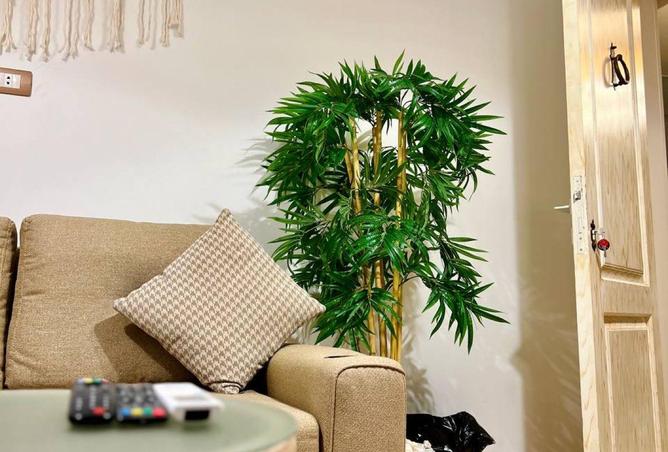 54762597 - Property Image 2