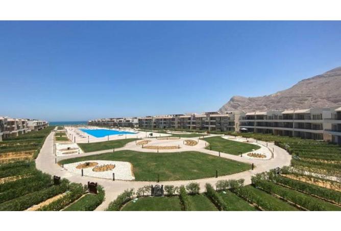 58739609 - صورة العقار 3