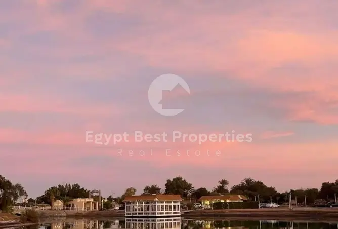 113826525 - Property Image 2