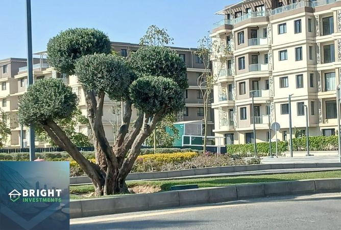 74588210 - صورة العقار 2
