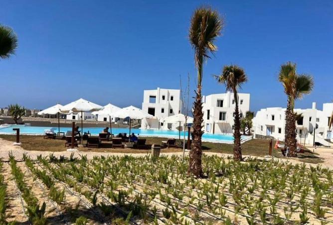 70102252 - Property Image 2