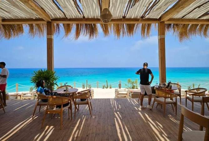 70102252 - Property Image 3