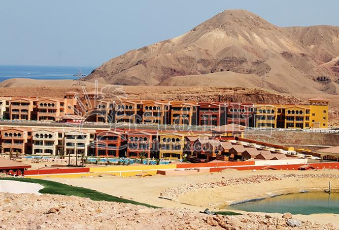 8451562 - Property Image 2