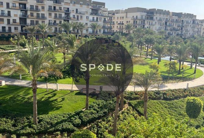 61693864 - صورة العقار 2