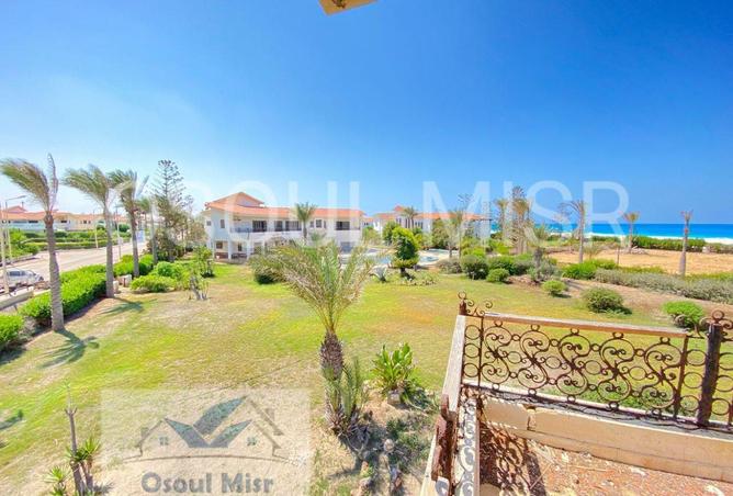 54489523 - Property Image 3