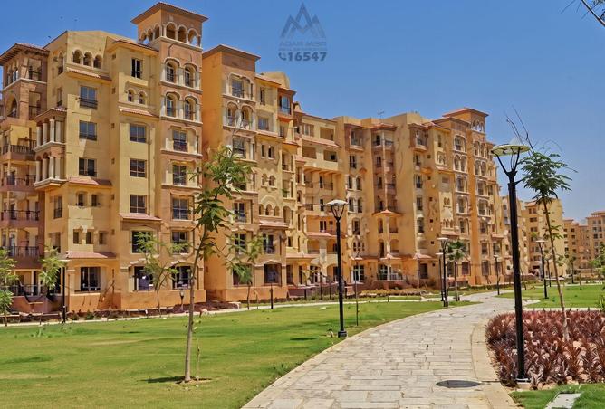 102074626 - صورة العقار 3