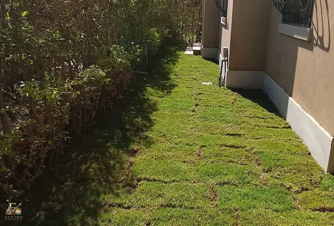 115434264 - صورة العقار 2