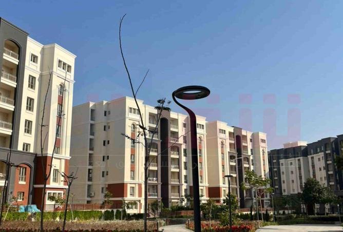72191101 - صورة العقار 3