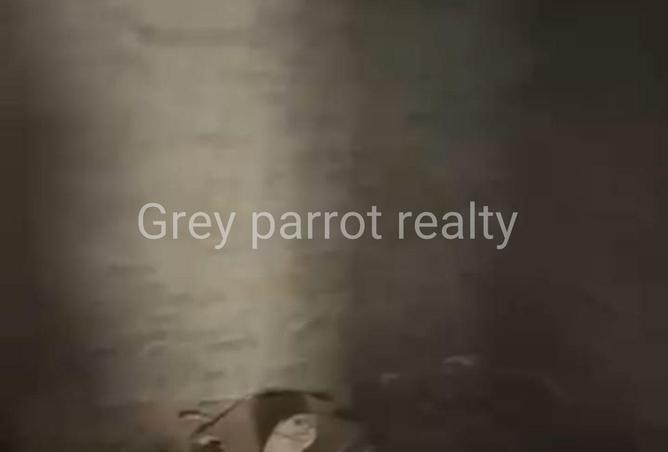 66439386 - Property Image 3