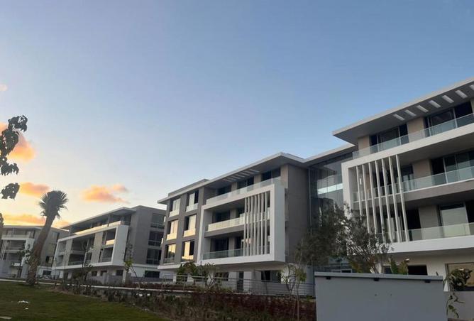 53725228 - Property Image 3