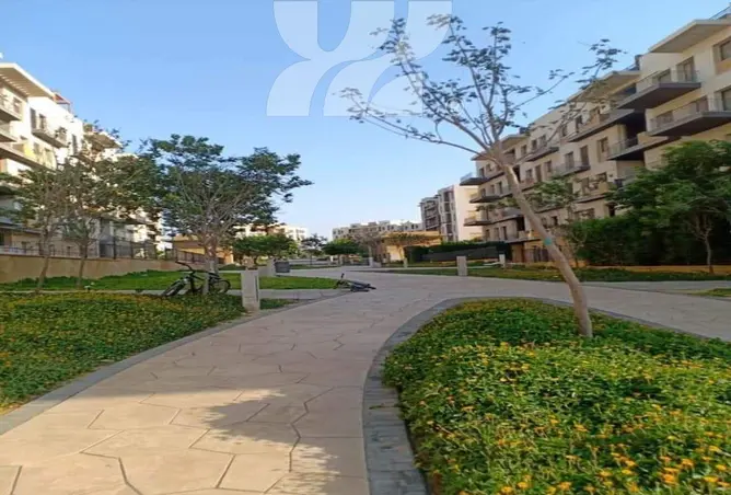 117281684 - صورة العقار 3