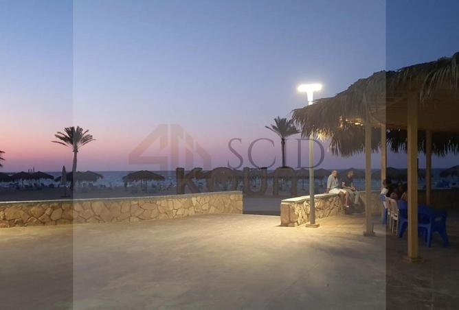 65166661 - صورة العقار 3