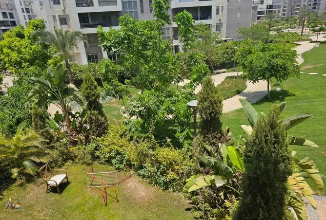 101207884 - صورة العقار 2
