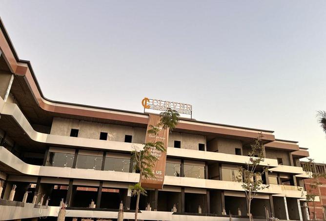 8698284 - صورة العقار 2