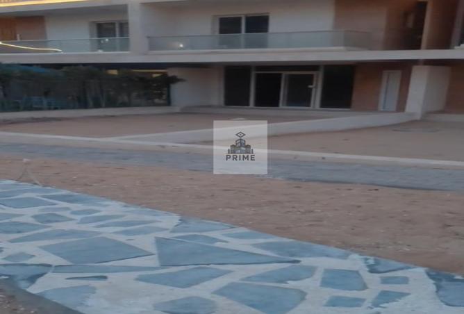 81050449 - صورة العقار 2